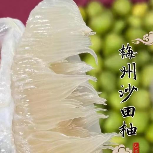 梅州-老树沙田柚/梅州三红蜜柚 商品图3