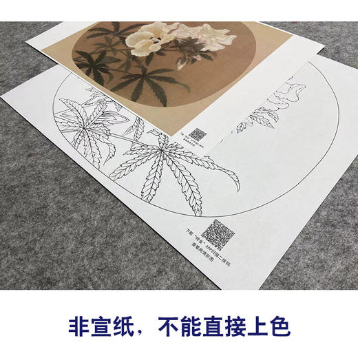 【大彩图】李大忠工笔画白描底稿宋画小品《秋葵图》秋葵花临摹勾线花鸟线稿X005 商品图2