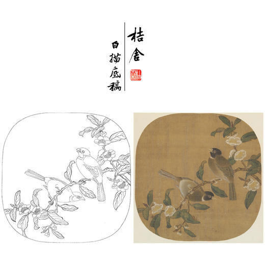 【大彩图】佚名工笔画白描底稿宋画小品《花卉双禽图》茶树雀鸟临摹勾线花鸟线稿GH27 商品图0