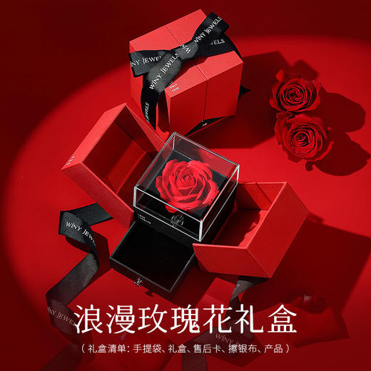 Winy925纯银星光爱人项链送女友闺蜜节日生日礼物 商品图2