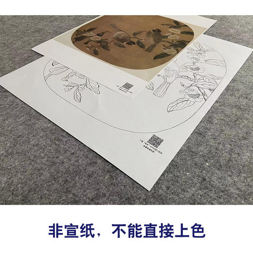 【大彩图】佚名工笔画白描底稿宋画小品《花卉双禽图》茶树雀鸟临摹勾线花鸟线稿GH27 商品图2