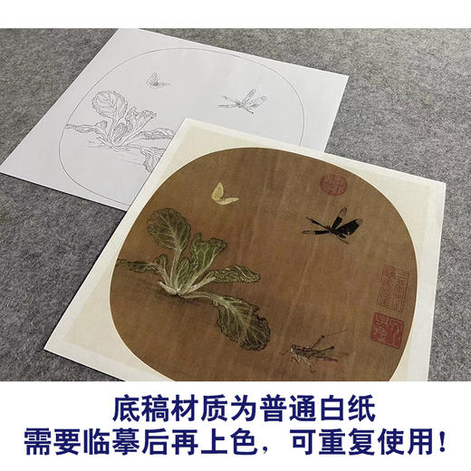 【大彩图】许迪工笔画白描底稿宋画小品《野蔬草虫图》白菜蜻蜓临摹勾线花鸟线稿GH26 商品图3