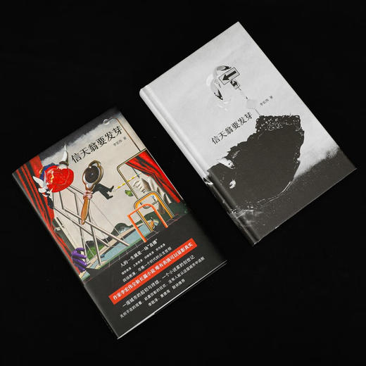 信天翁要发芽 李宏伟 著 商品图1