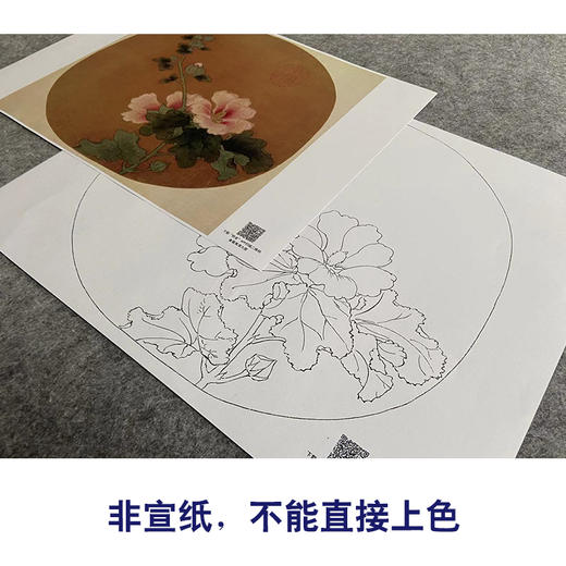 【大彩图】佚名工笔画白描底稿宋画小品《蜀葵图》临摹勾线花鸟线稿GH24 商品图2