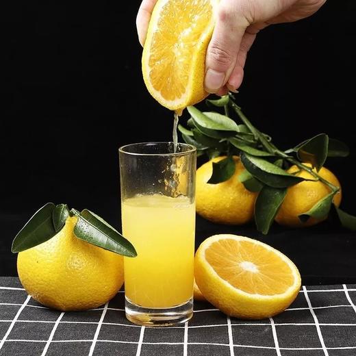 福建甜桔柚 | 似桔似柚甘甜多汁 一口尽享桔之甜柚之香 果肉脆嫩化渣新鲜爽口 商品图4