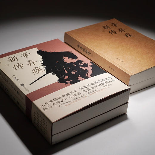 辛弃疾新传 他毕生历经浮沉，波澜壮阔的人生经历尽在《辛弃疾新传》的记述之中 商品图2