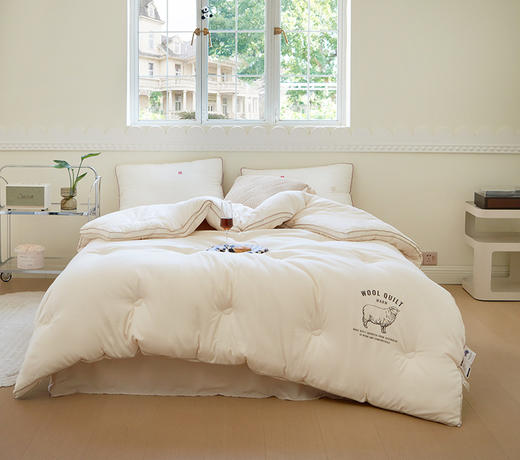 【糯棉澳洲羊毛大豆被】10%澳洲羊毛 10%大豆纤维 轻盈蓬松 柔软包裹 商品图0