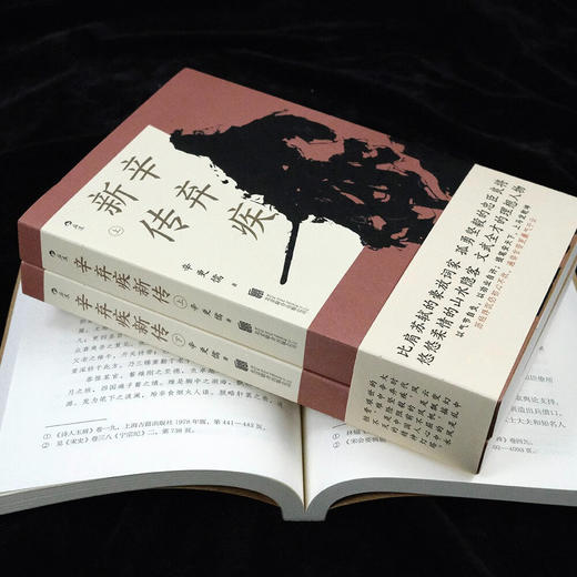 辛弃疾新传 他毕生历经浮沉，波澜壮阔的人生经历尽在《辛弃疾新传》的记述之中 商品图4