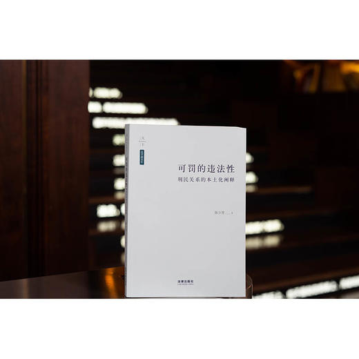 可罚的违法性：刑民关系的本土化阐释  陈少青著  法律出版社 商品图0