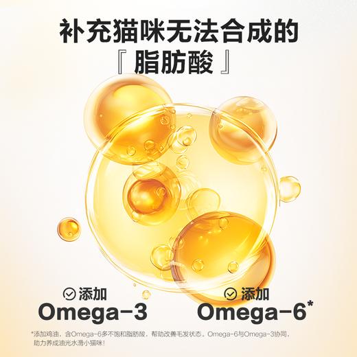 卫仕小金勺猫咪主食猫条成猫幼猫零食无诱食剂主食级猫条 商品图2