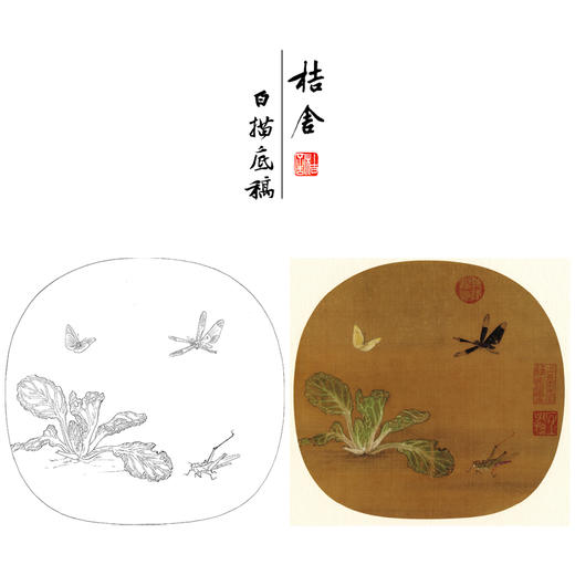 【大彩图】许迪工笔画白描底稿宋画小品《野蔬草虫图》白菜蜻蜓临摹勾线花鸟线稿GH26 商品图0