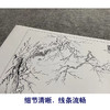【大彩图】马远工笔画白描底稿宋画小品《梅石溪颓图》梅花临摹勾线花鸟线稿GH48 商品缩略图4