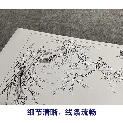 【大彩图】马远工笔画白描底稿宋画小品《梅石溪颓图》梅花临摹勾线花鸟线稿GH48 商品图4