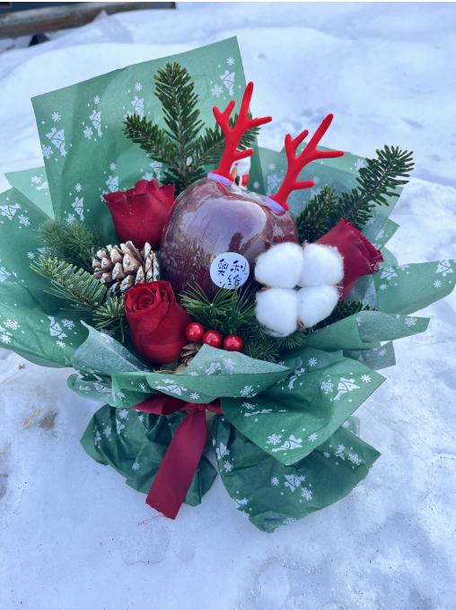 梦幻圣诞节苹果手提袋 商品图3