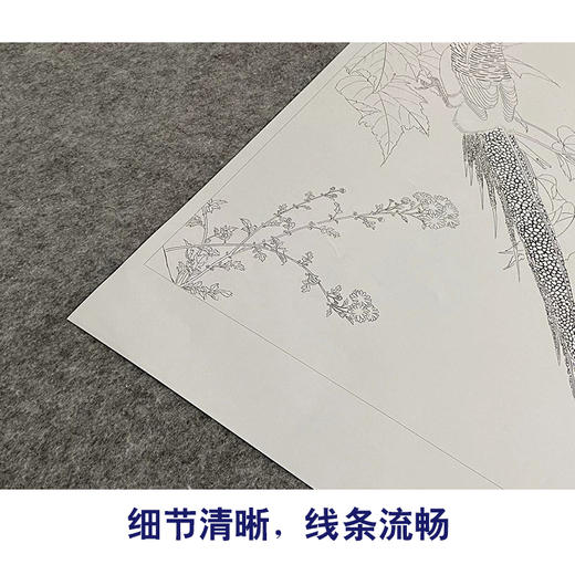 【大彩图】赵佶工笔画白描底稿《芙蓉锦鸡图》宋画临摹勾线花鸟线稿X030 商品图4