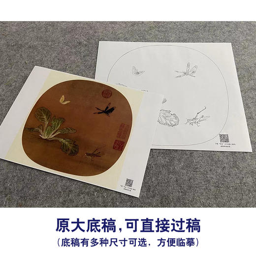 【大彩图】许迪工笔画白描底稿宋画小品《野蔬草虫图》白菜蜻蜓临摹勾线花鸟线稿GH26 商品图1