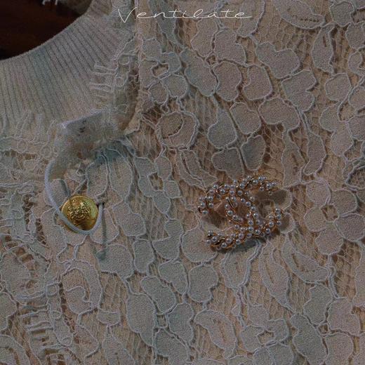 领取请先参加活动 限新粉 双C山茶花胸针 活动款普通下单不发货 商品图6