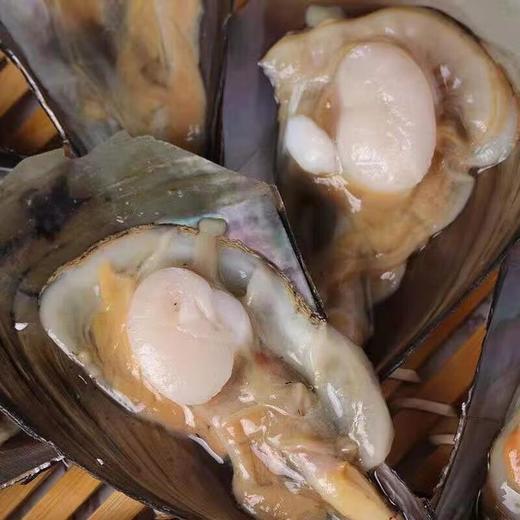 带子（中） 商品图2