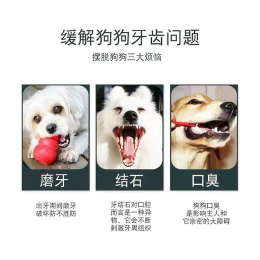 本月特价 亚禾宠物零食成犬磨牙棒牛肉味15g(10个/组） 商品图5