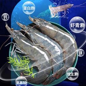 牛田洋南美虾约40尾/斤左右（中虾） /份