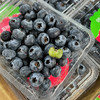 【雪山恬】云南 玉龙雪山 蓝莓15+，口感脆，味道甜，个头中，特别好吃！ 商品缩略图0