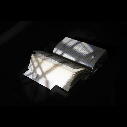 信天翁要发芽 李宏伟 著 商品图2