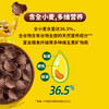 雀巢（Nestle）进口儿童零食可可味滋滋即食谷物500g早餐麦片代餐全谷物非油炸 商品缩略图2