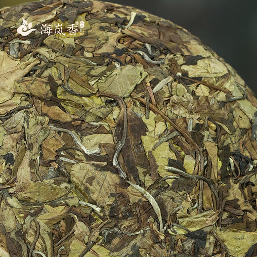 海岚香  深邃春寿眉茶饼   300g 商品图2
