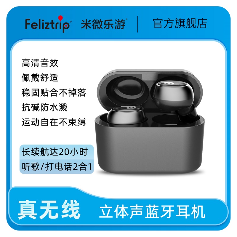 Feliztrip斐利斯 真无线蓝牙5.0耳机 运动跑步开车健身通用 TR-TWS 361