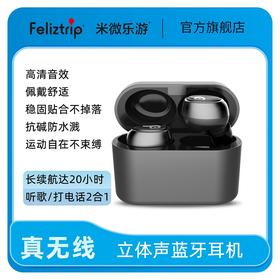 Feliztrip斐利斯 真无线蓝牙5.0耳机 运动跑步开车健身通用 TR-TWS 361