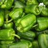 生态菜椒/韶关本地辣椒 | 绿家自产*ecological green bell pepper | Self-production 商品缩略图3