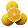 福建甜桔柚 | 似桔似柚甘甜多汁 一口尽享桔之甜柚之香 果肉脆嫩化渣新鲜爽口 商品缩略图2