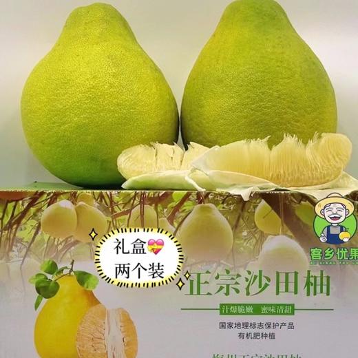 梅州-老树沙田柚/梅州三红蜜柚 商品图1