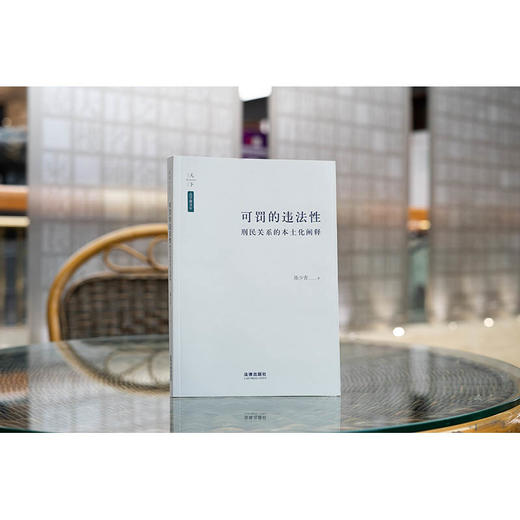 可罚的违法性：刑民关系的本土化阐释  陈少青著  法律出版社 商品图1