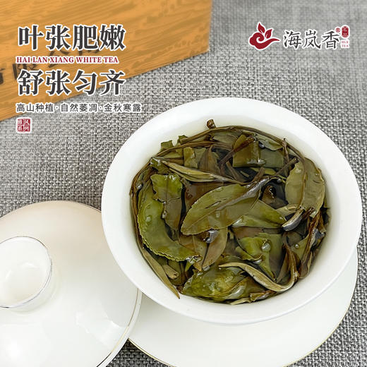 海岚香 寒露茶  散装白茶 雅风系列 50g*6盒/箱 商品图3