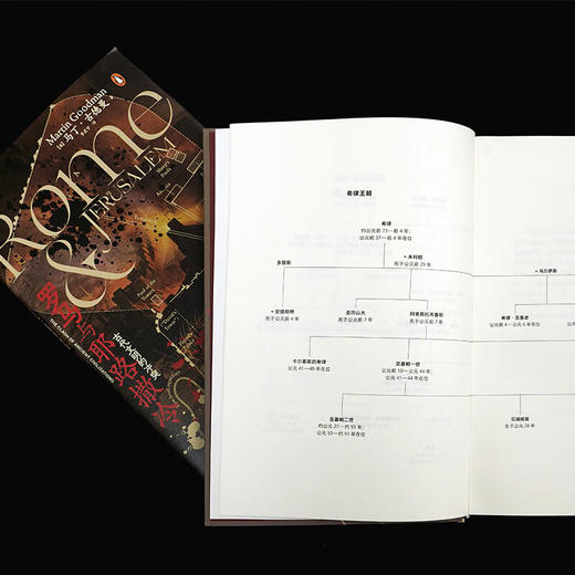 罗马与耶路撒冷：古代文明的冲突 商品图3