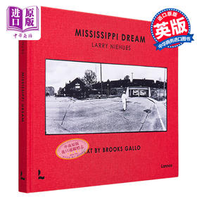 【中商原版】Mississippi Dream 进口艺术 密西西比梦