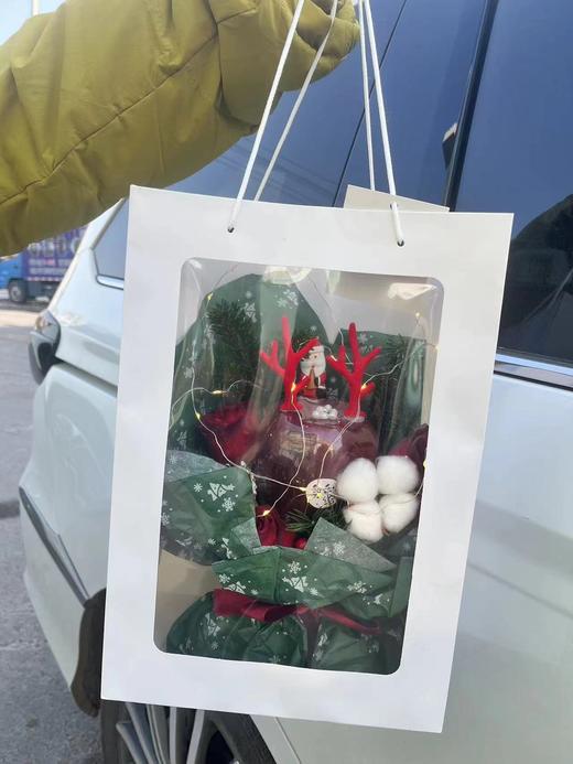 梦幻圣诞节苹果手提袋 商品图1