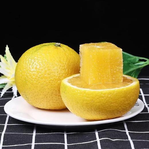 福建甜桔柚 | 似桔似柚甘甜多汁 一口尽享桔之甜柚之香 果肉脆嫩化渣新鲜爽口 商品图1