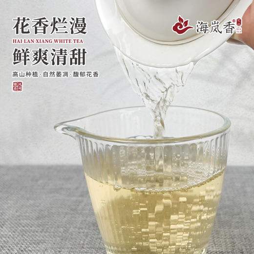 海岚香 白牡丹 散装白茶 雅风系列 50g*6盒/箱 商品图4