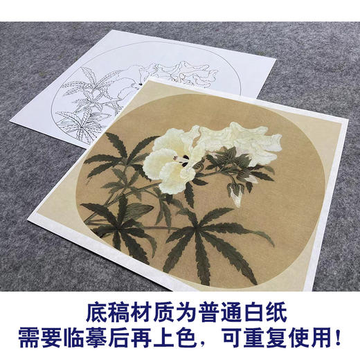 【大彩图】李大忠工笔画白描底稿宋画小品《秋葵图》秋葵花临摹勾线花鸟线稿X005 商品图3