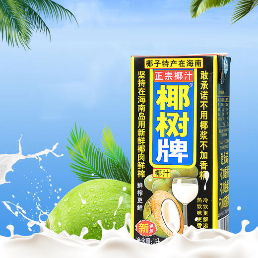 椰树牌椰汁1L 商品图0
