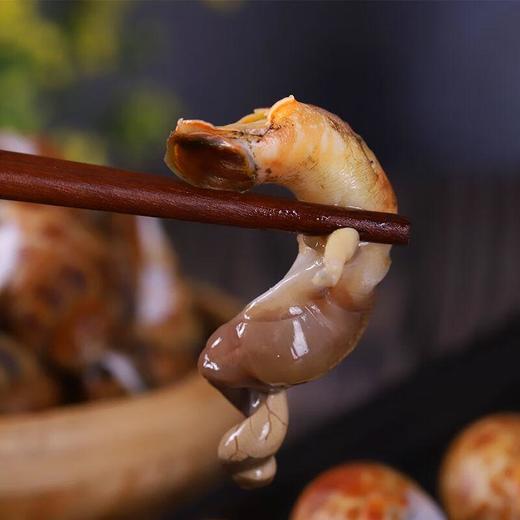 花螺大粒 约500g /份 /份 商品图3