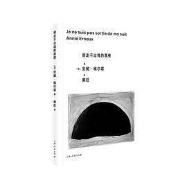 我走不出我的黑夜([法]安妮·埃尔诺 著；黄荭 译)