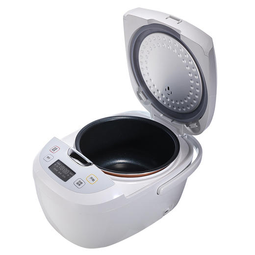 格力 大松(TOSOT) 智能电饭煲 GDF-4019C 家用4升多功能定时预约微压烹饪五段准确控温电饭锅 商品图1