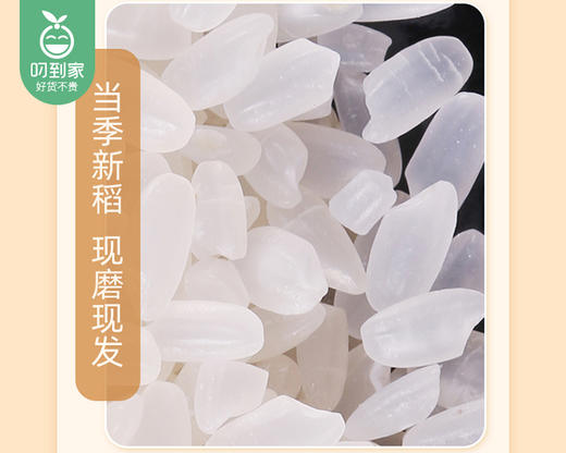 盘珠东北珍珠米（5kg/包 粥米）生产日期: 8月 商品图1