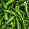 生态牛角椒 | 绿家自产*Ecological Cayenne pepper | Self-production 商品缩略图5