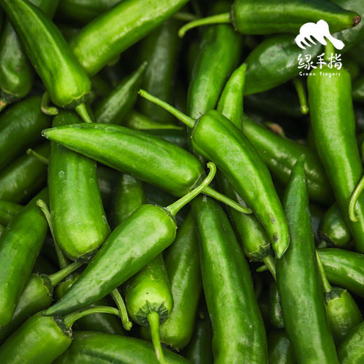 生态牛角椒 | 绿家自产*Ecological Cayenne pepper | Self-production 商品图5