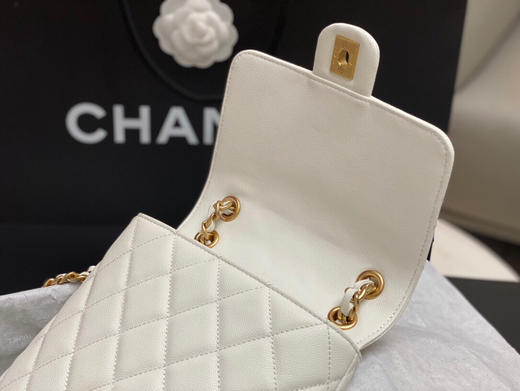 秋冬特惠💰1160 原单香奈儿 Chanel 23K AS4490 讲真，它不是一个简单的双肩包 商品图6