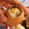 【鲜嫩多汁！土鸡蛋活珠子】真空包装新鲜13天鸡胚蛋30枚即食熟食五香毛蛋毛鸡蛋钢化蛋整箱10枚-觅食坊 商品缩略图2